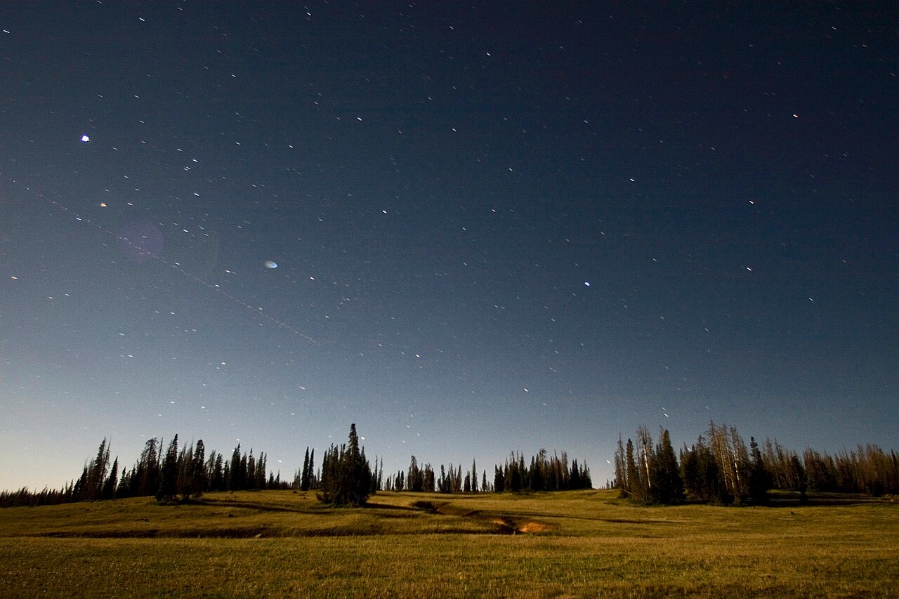 The starry night sky casts celestial light onto a meadow framed by conifer trees at Cedar Breaks National Monument, Utah. (6bd9a8c7-155d-451f-6704-cdbe39baad12)
